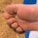Feetandfood